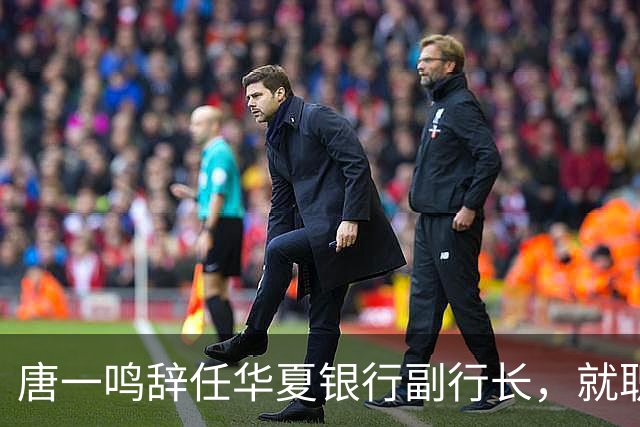 唐一鸣辞任华夏银行副行长，就职北京东城区